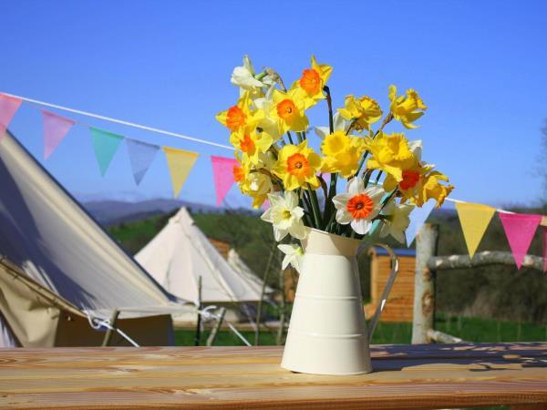 North Wales multi activity holiday