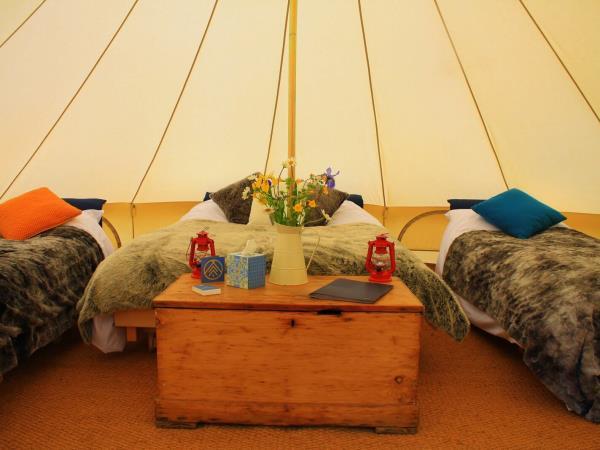 North Wales multi activity holiday