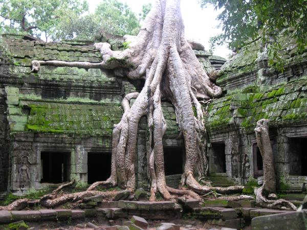 Classic Cambodia 14 day holiday