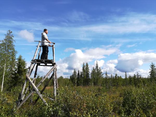 Summer holiday in Finnish Lapland