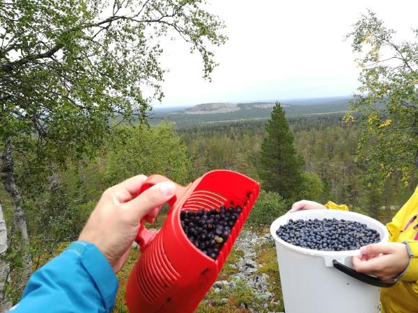 Summer holiday in Finnish Lapland