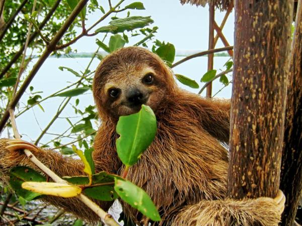 Wheelchair accessible holiday in Costa Rica