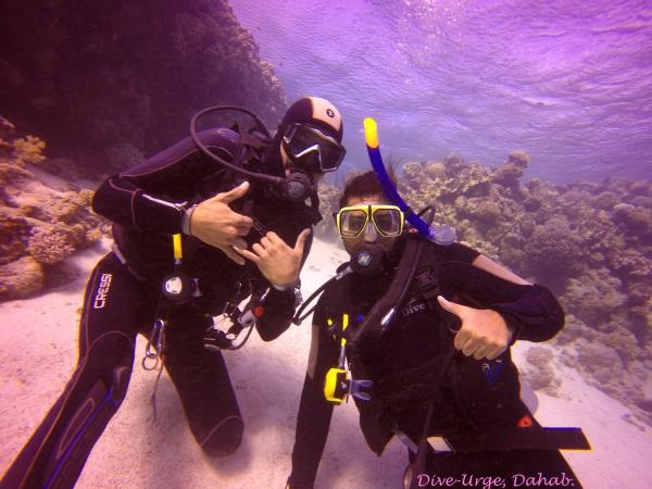 Red Sea diving holidays