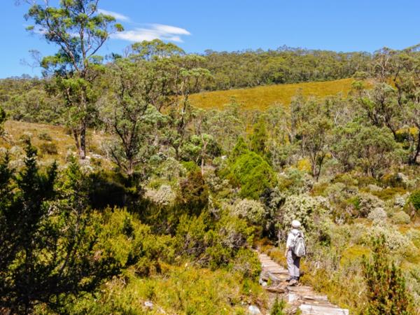 Cradle Mountain walking holiday in Tasmania, self guided