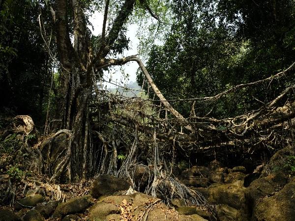 North East India tour, Meghalaya & beyond