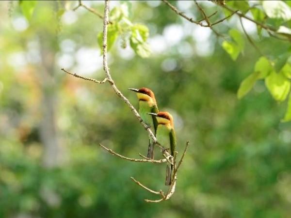 North East India tour, Meghalaya & beyond