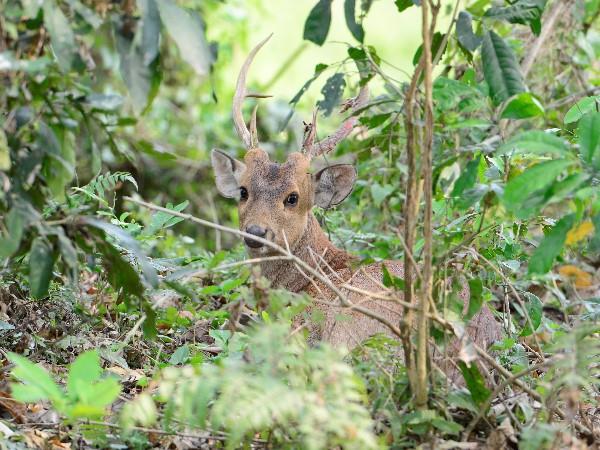 North East India tour, Meghalaya & beyond