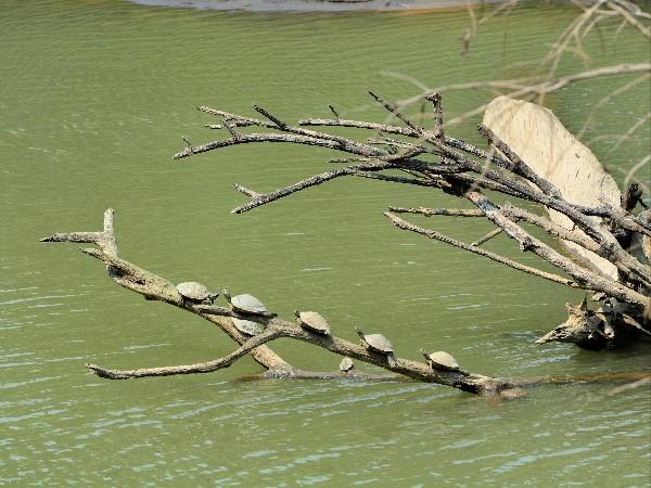 North East India tour, Meghalaya & beyond