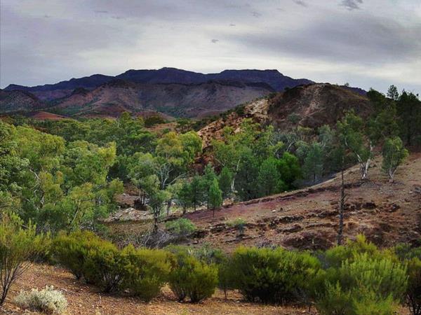 Flinders Ranges self guided walking holiday, Australia