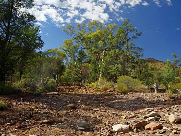 Flinders Ranges self guided walking holiday, Australia