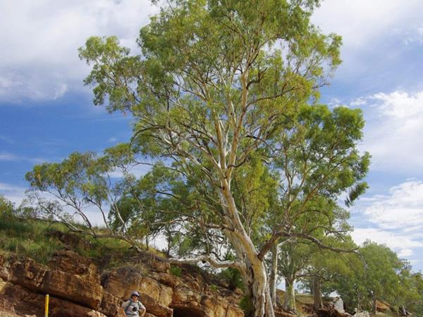 Flinders Ranges self guided walking holiday, Australia