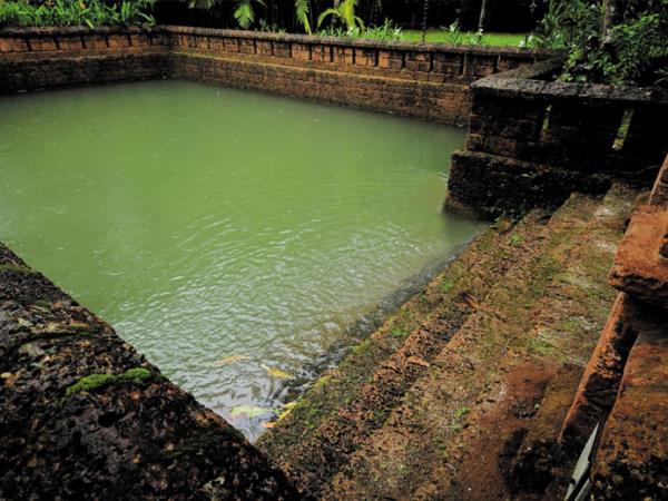 Kerala Ayurveda & Yoga holiday, India