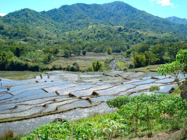Nusa Tenggara islands tour, Indonesia