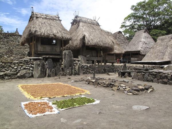 Nusa Tenggara islands tour, Indonesia