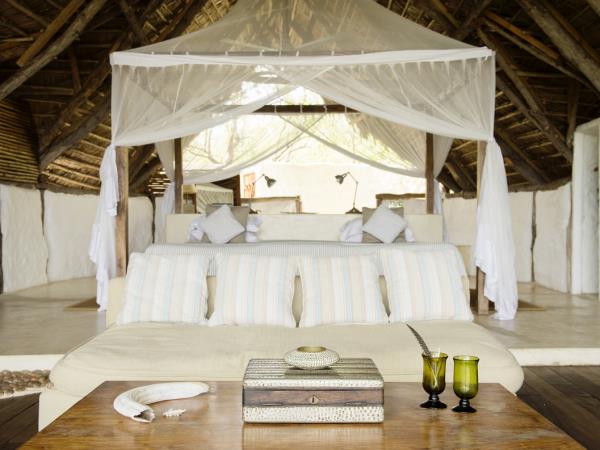 Southern Tanzania luxury safari holiday