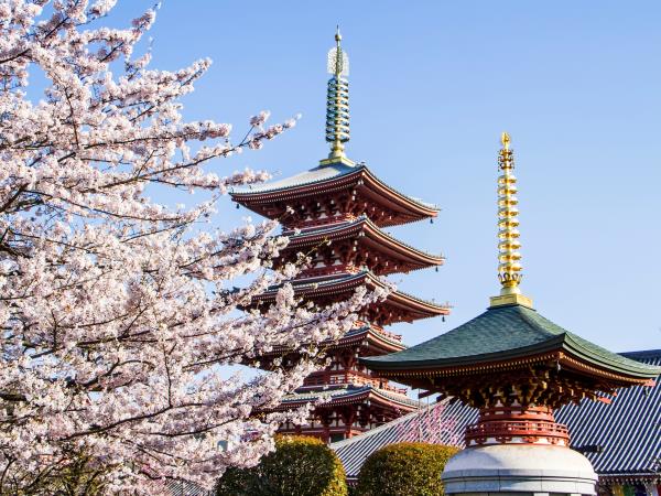 Japan classic tour by rail