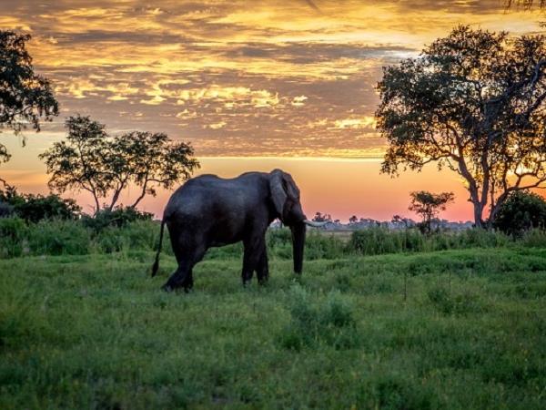 Botswana off beaten track holiday