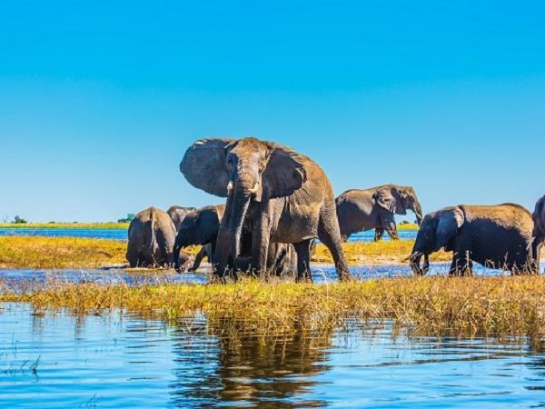 Botswana luxury safari holiday