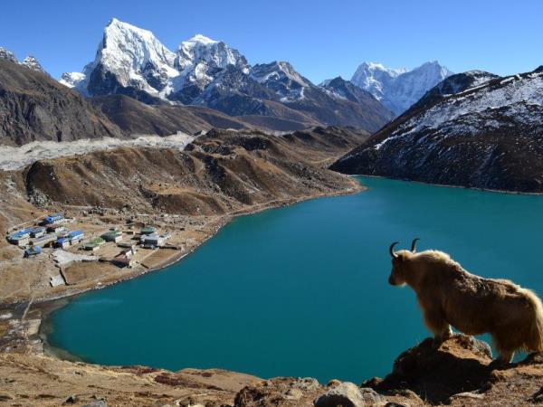 Three High Passes trek in Nepal