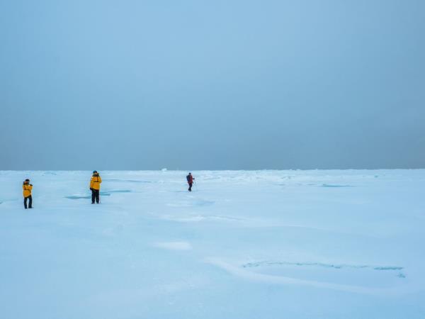Canada and Greenland western Arctic cruise