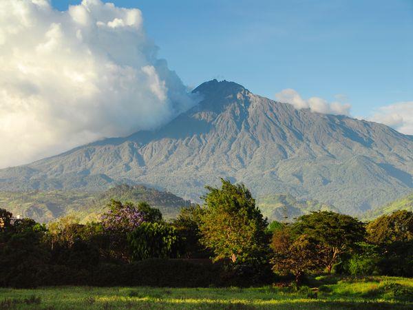 Western Tanzania luxury Safari