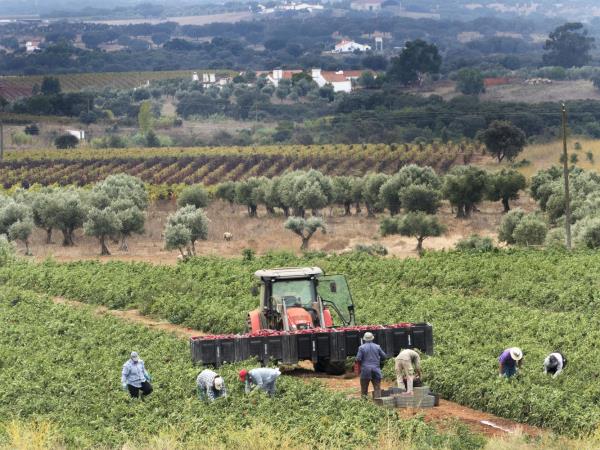 Alentejo walking holiday in Portugal