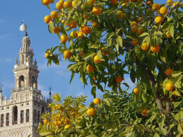 Andalucia walking & self drive holiday, Spain