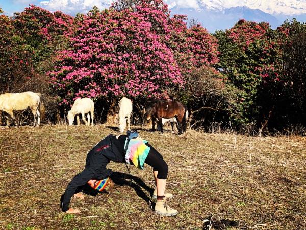 Nepal trekking and yoga holiday
