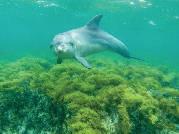 Eyre Peninsula tours in South Australia
