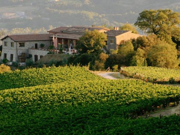 Italy wine tour in Umbria & Tuscany