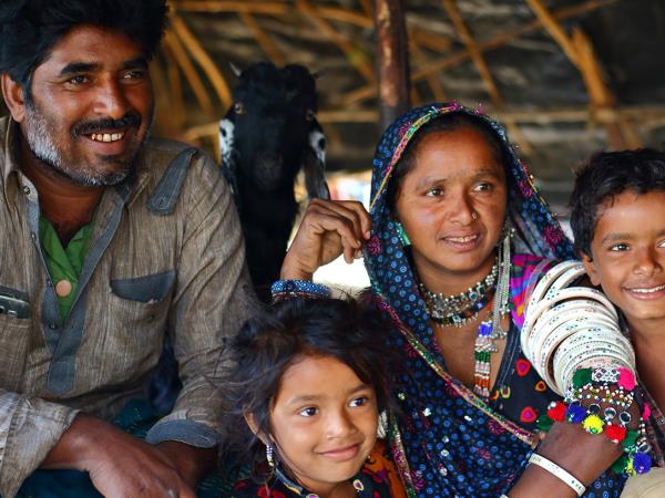 Gujarat cultural tour, textiles & wildlife