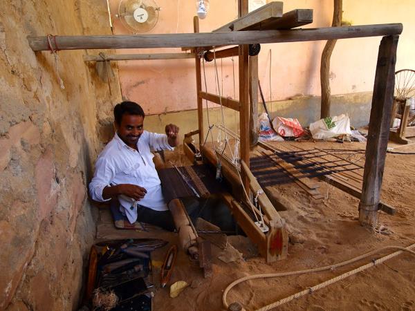 Gujarat cultural tour, textiles & wildlife