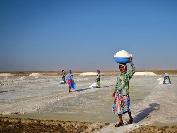 Gujarat cultural tour, textiles & wildlife