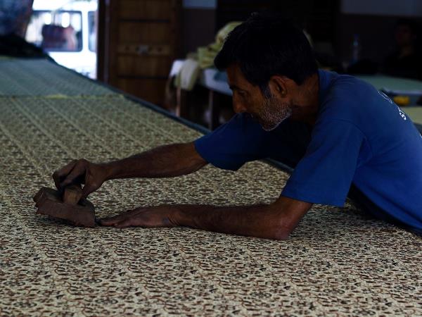Gujarat cultural tour, textiles & wildlife