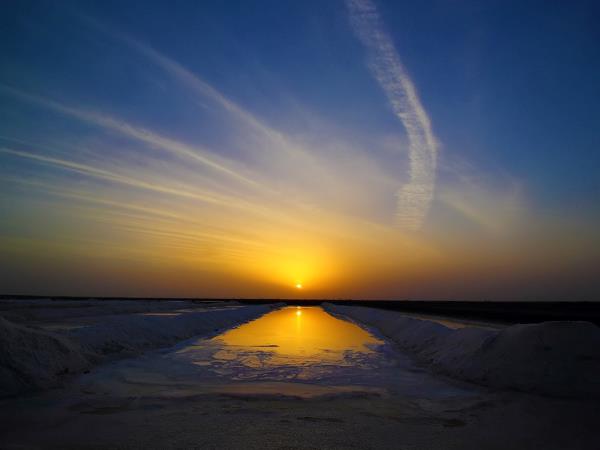 Gujarat cultural tour, textiles & wildlife