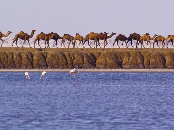 Gujarat and Mumbai highlights tour