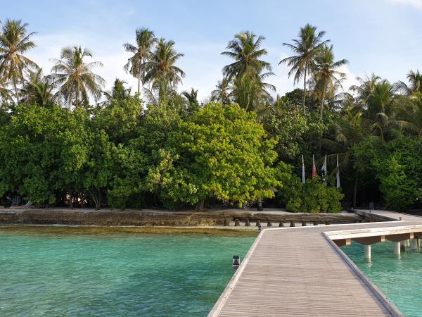 Maldives holiday, local islands & resort stay
