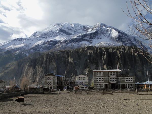 Annapurna Circuit & Nar Phu Valley trek