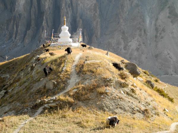 Annapurna Circuit & Nar Phu Valley trek