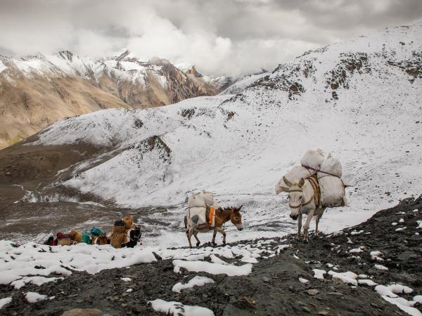 Annapurna Circuit & Nar Phu Valley trek
