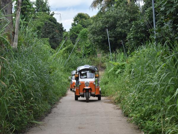 Chiang Mai Tuk Tuk holiday, 5 days