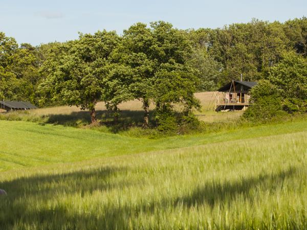 South Downs farm camping & caravan site, England