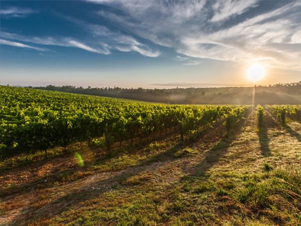 E-Bike cycling holiday in Umbria and Tuscany