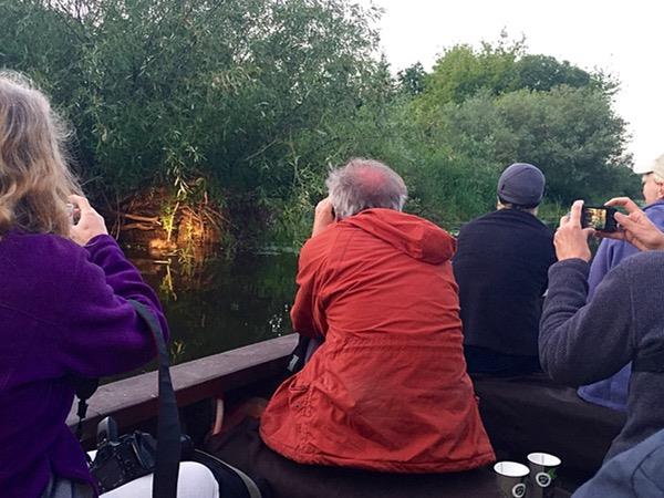Poland wildlife holiday, birds & mammals