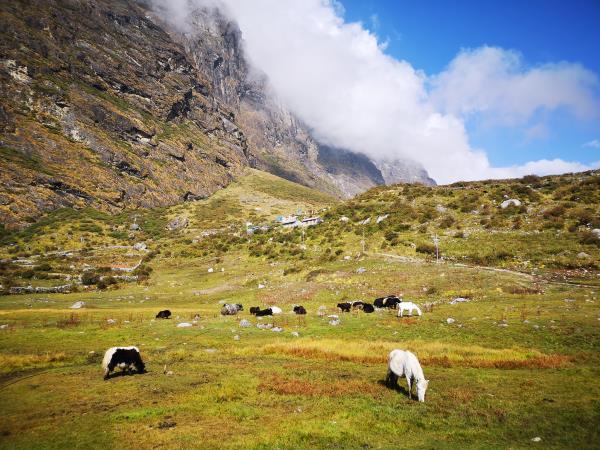 Langtang Valley trek in Nepal with Gosaikunda Lake