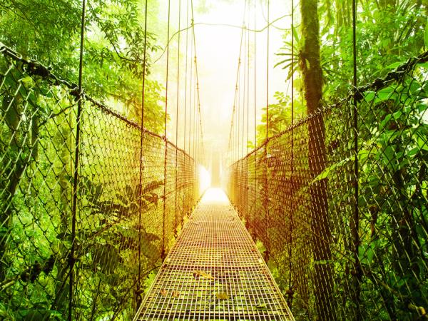 Costa Rica vegan adventure holiday