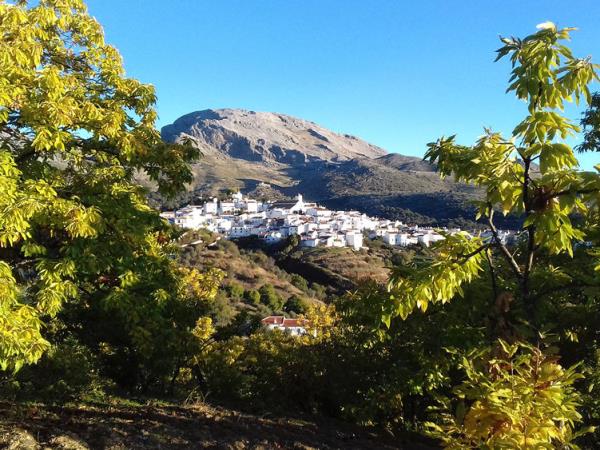 Centre based walking holiday in Andalucia, Spain