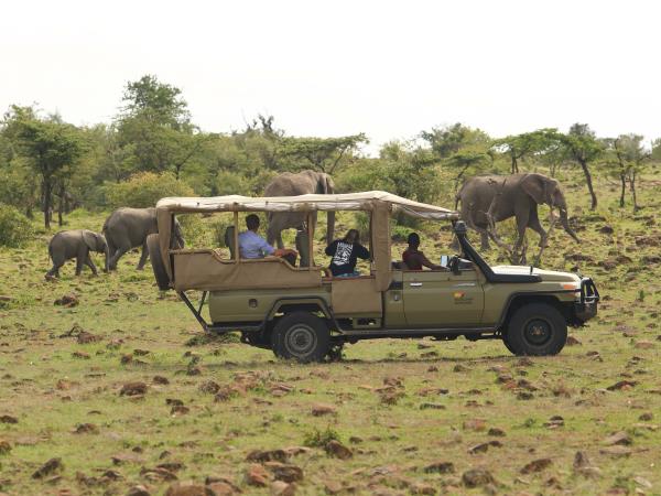 Kenya migration safari holiday