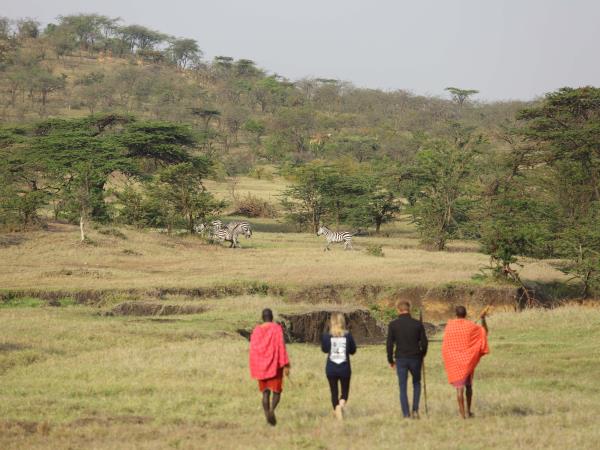 Kenya migration safari holiday