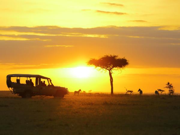 Kenya migration safari holiday